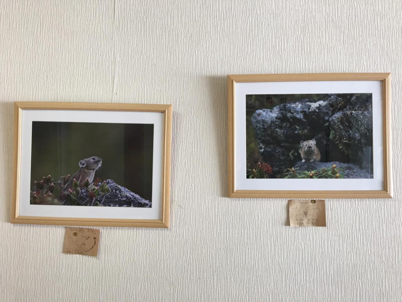 Biei Shirogane No Yu Hotell Eksteriør bilde